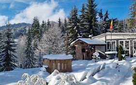 Cabana Căsaru