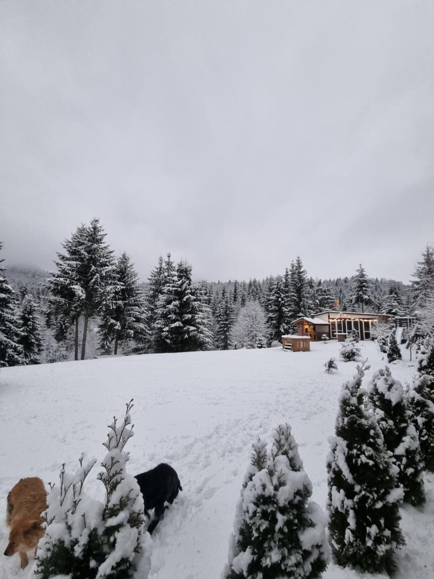 Cabana Căsaru Colibiţa Exterior foto
