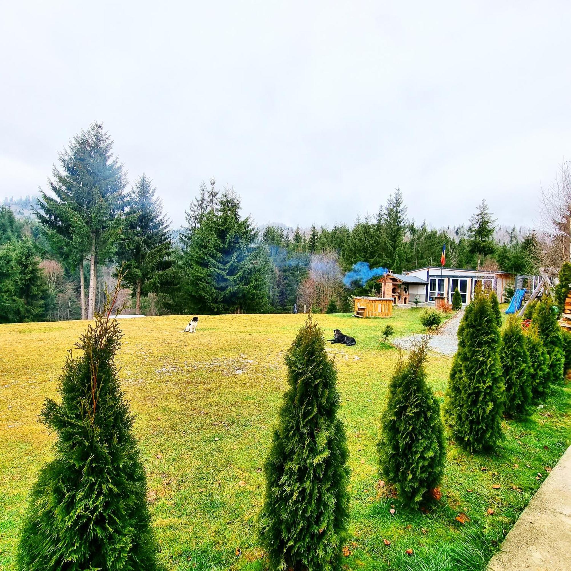 Cabana Căsaru Colibiţa Exterior foto